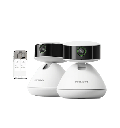 Scout Smart Camera