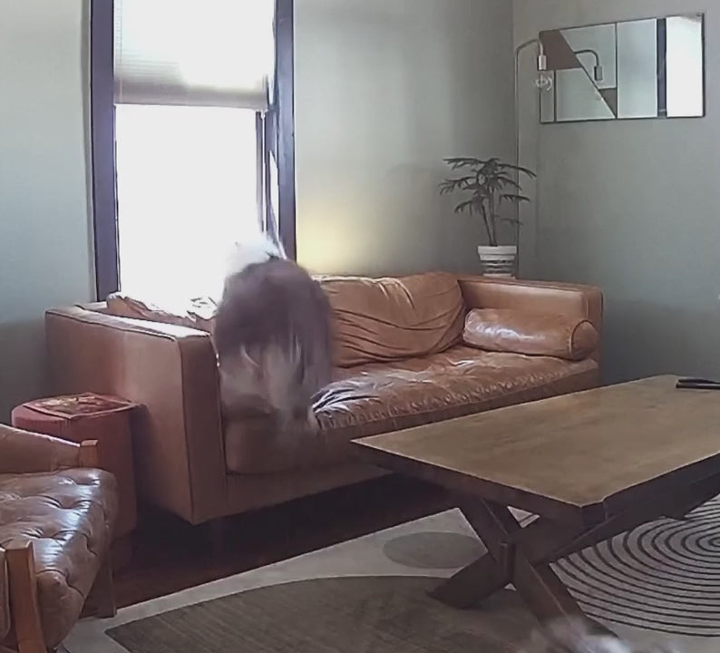Video laden: 